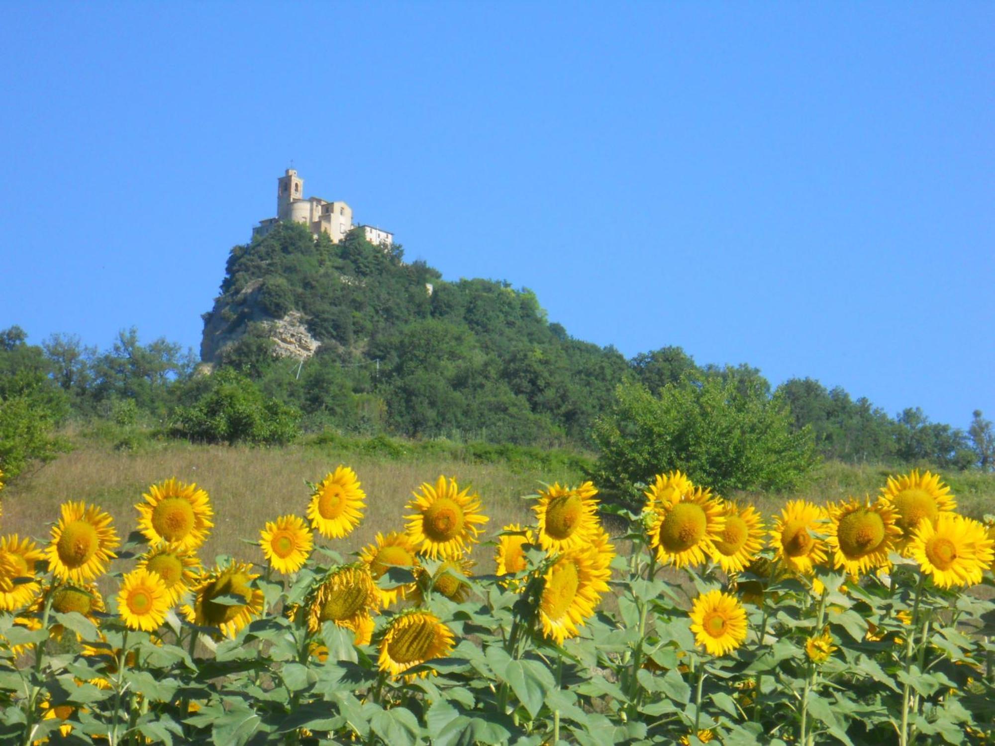 Agriturismo Le Castellare モンテモーナコ エクステリア 写真