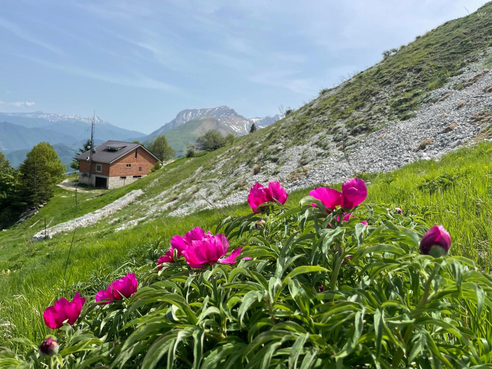 Agriturismo Le Castellare モンテモーナコ エクステリア 写真