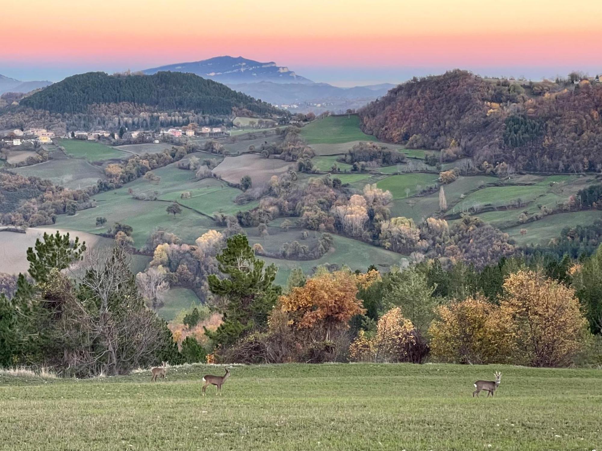 Agriturismo Le Castellare モンテモーナコ エクステリア 写真