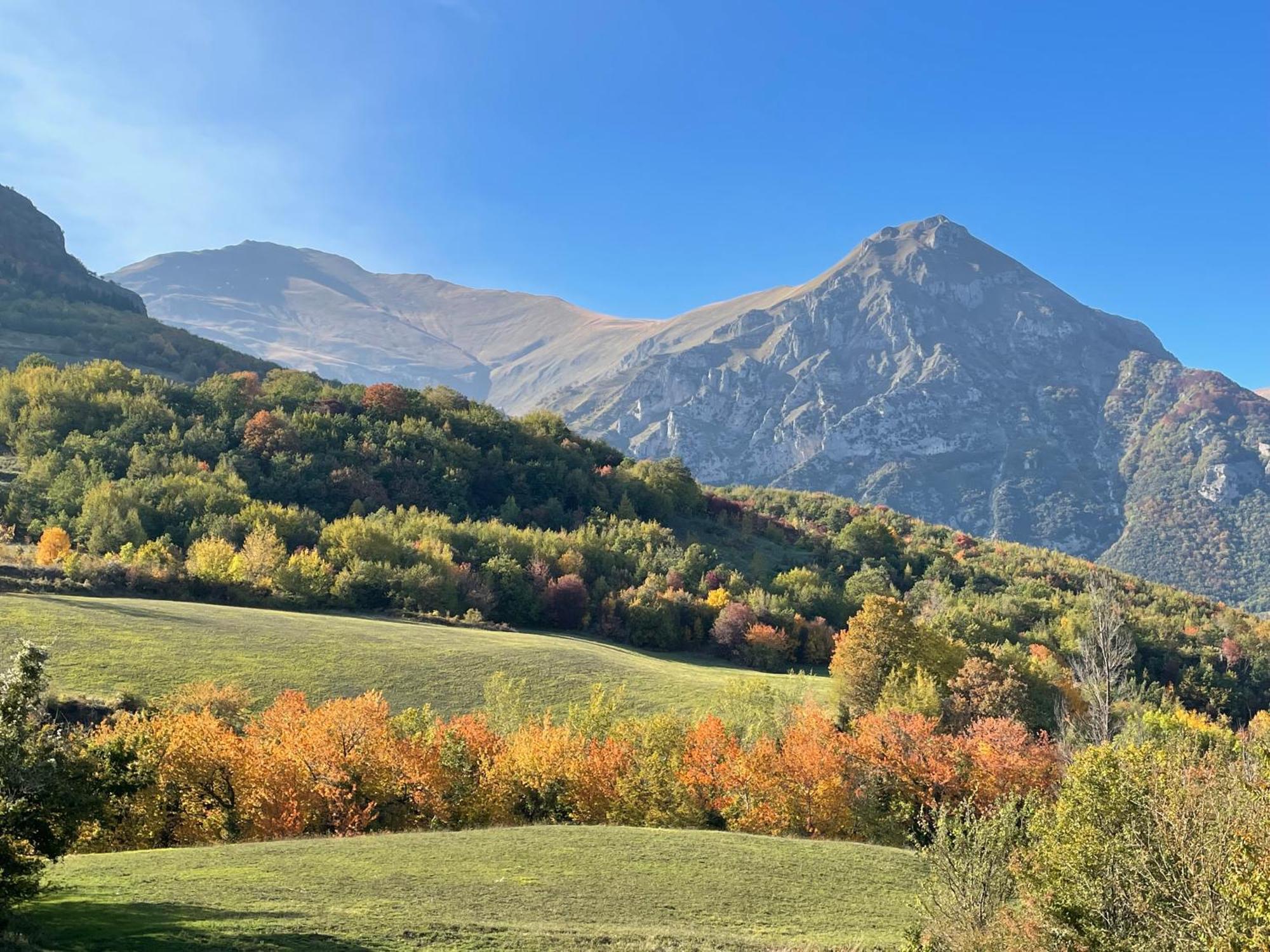 Agriturismo Le Castellare モンテモーナコ エクステリア 写真