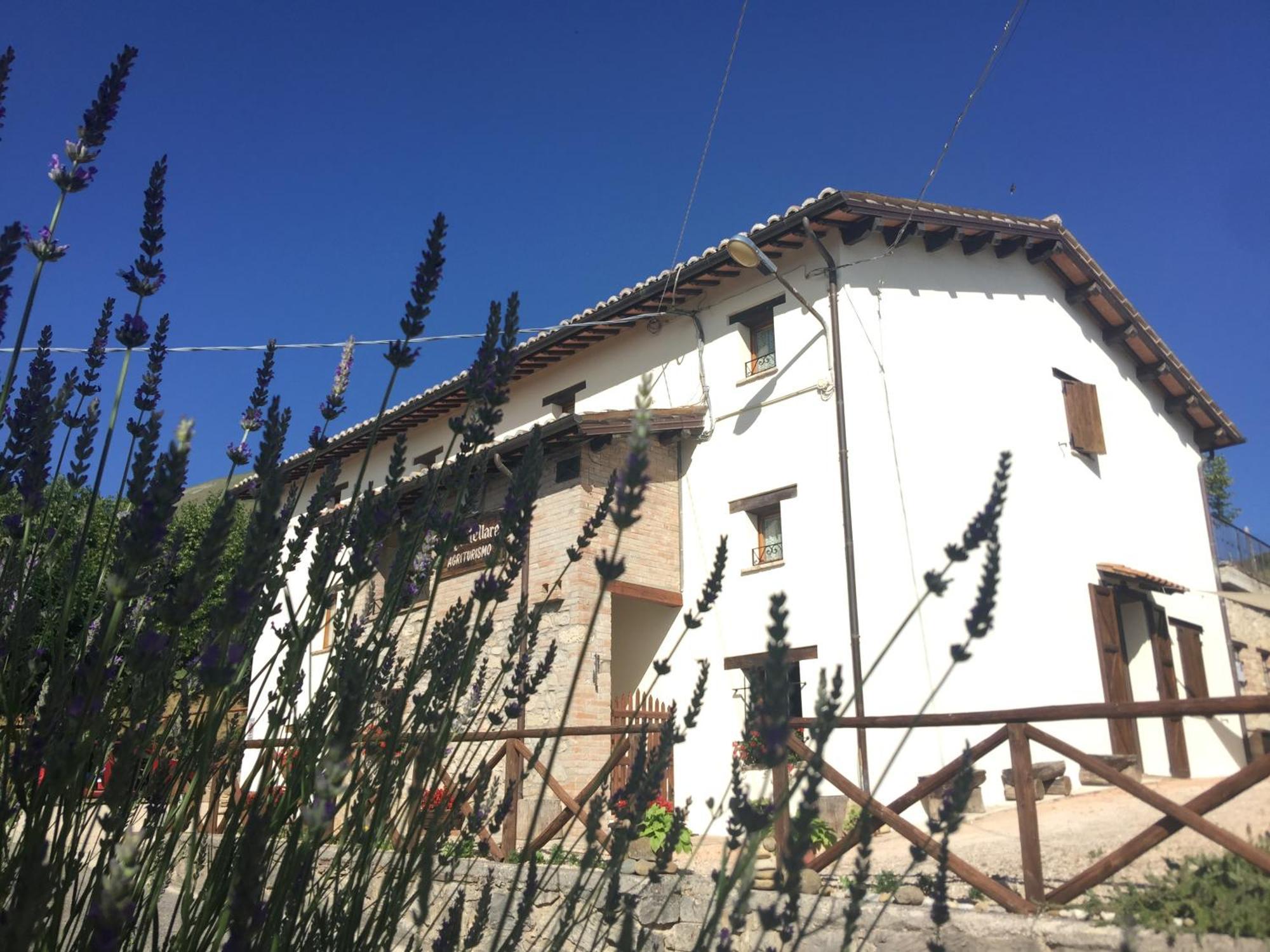 Agriturismo Le Castellare モンテモーナコ エクステリア 写真