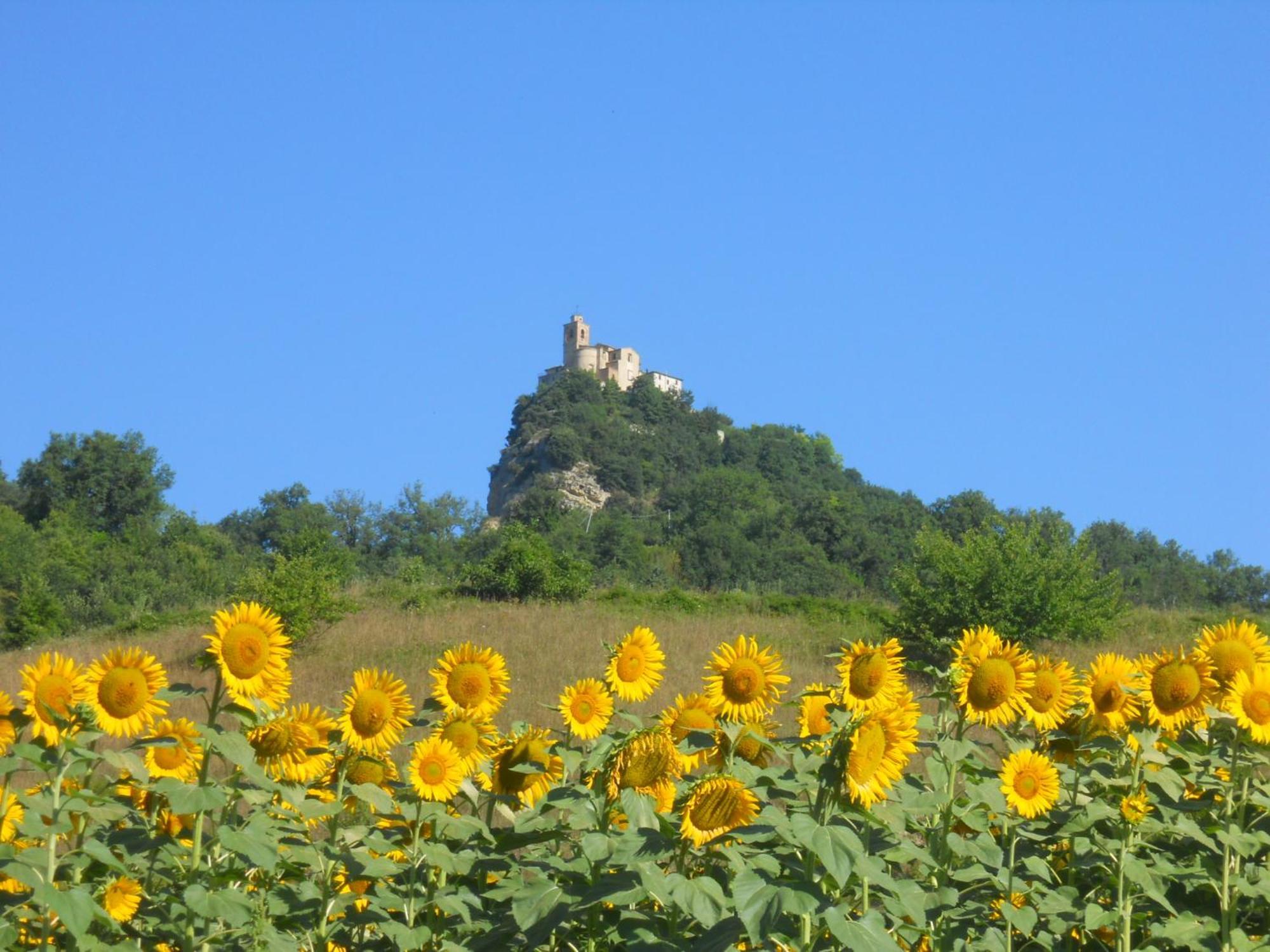 Agriturismo Le Castellare モンテモーナコ エクステリア 写真